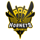 HORNETSESPORTS