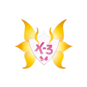 Logo X-3
